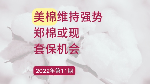 四棉八方 | 美棉维持强势 郑棉或现套保机会