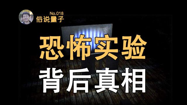 【俗说量子】延迟选择!量子擦除!双缝干涉实验的“真相”