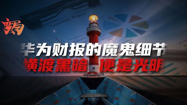 华为业绩报告惊现哪些魔鬼细节?几项数据或证明未来的精妙布局