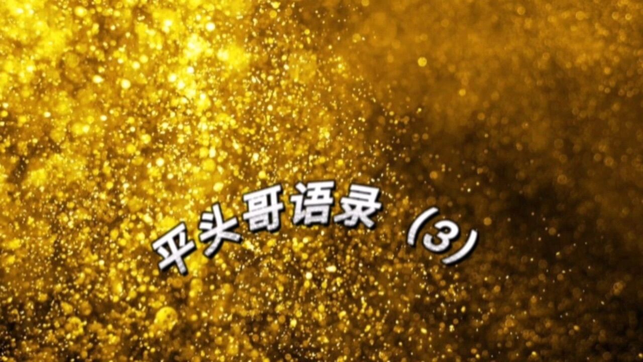 平头哥语录(3)