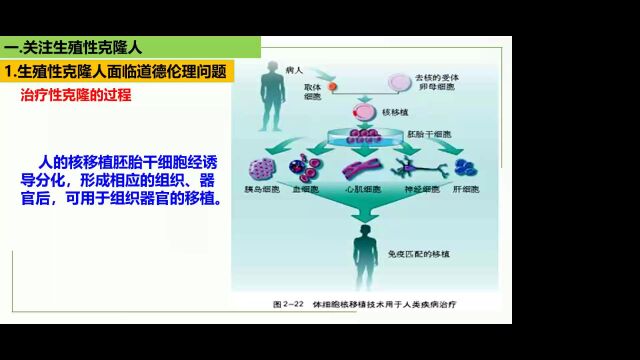 生物技术安全性和伦理问题