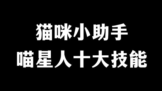 猫咪小助手,喵星人十大技能你值得拥有