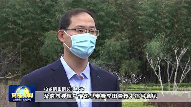 聚焦 | 柏城镇:田间地头抢农时 服务春管保丰收