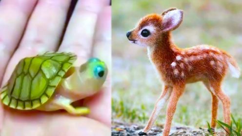 世界上10种最可爱的小动物，看完人都被治愈了