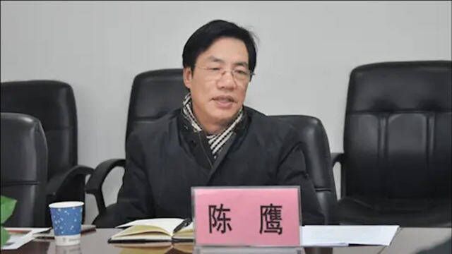 涉嫌受贿罪、内幕交易罪!浙江工业大学副校长陈鹰被起诉