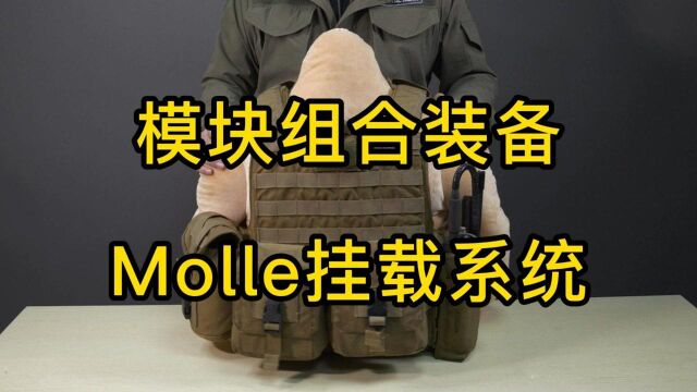 Molle模块化挂载系统简介 战术入门系列