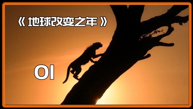 地球改变之年记录病毒来袭的这三年内由于人类活动减少地球发生的改变