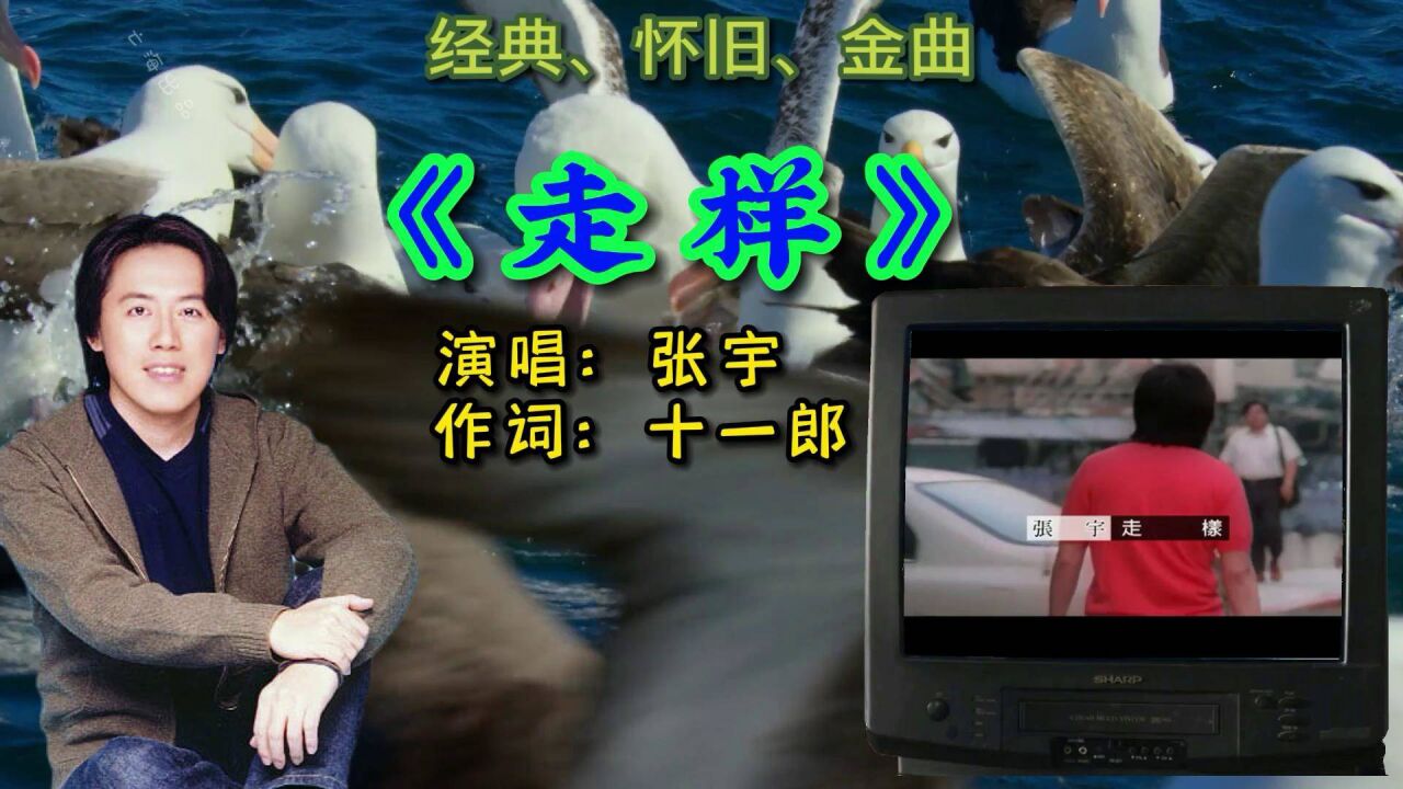 经典怀旧金曲,张宇的《走样》.