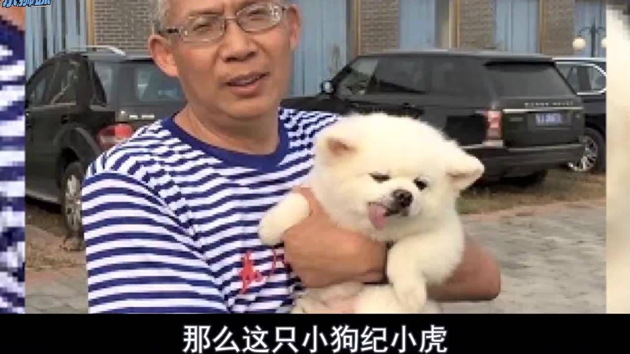 《百家讲坛》文化明星:中学老师纪连海,讲得比教授还好