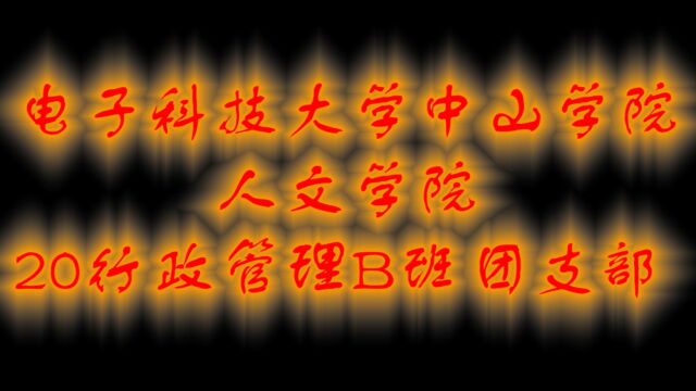 电子科技大学中山学院20行管B班—“活力在基层”主题团日活动