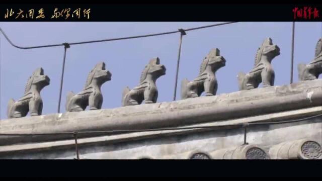 新时代“理论六讲”之四:青年如何在依法治国中贡献力量?