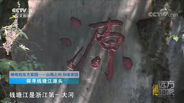 钱塘江古称“浙”,浙江省的名称就来源于此