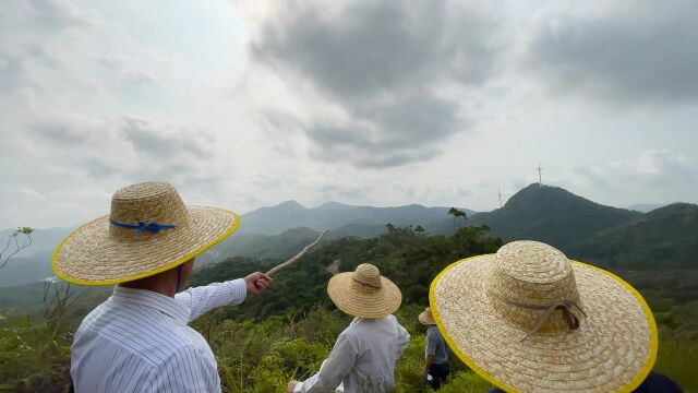 这地方,四周均是风力发电杆,左边空且右边穿堂,赵一铭实地分享