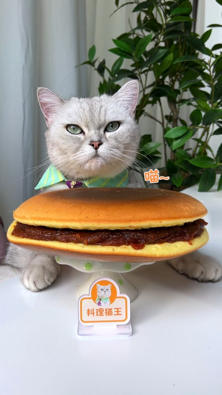 猫王:巨无霸铜锣烧,叮当猫见了都直呼哇塞!_腾讯视频