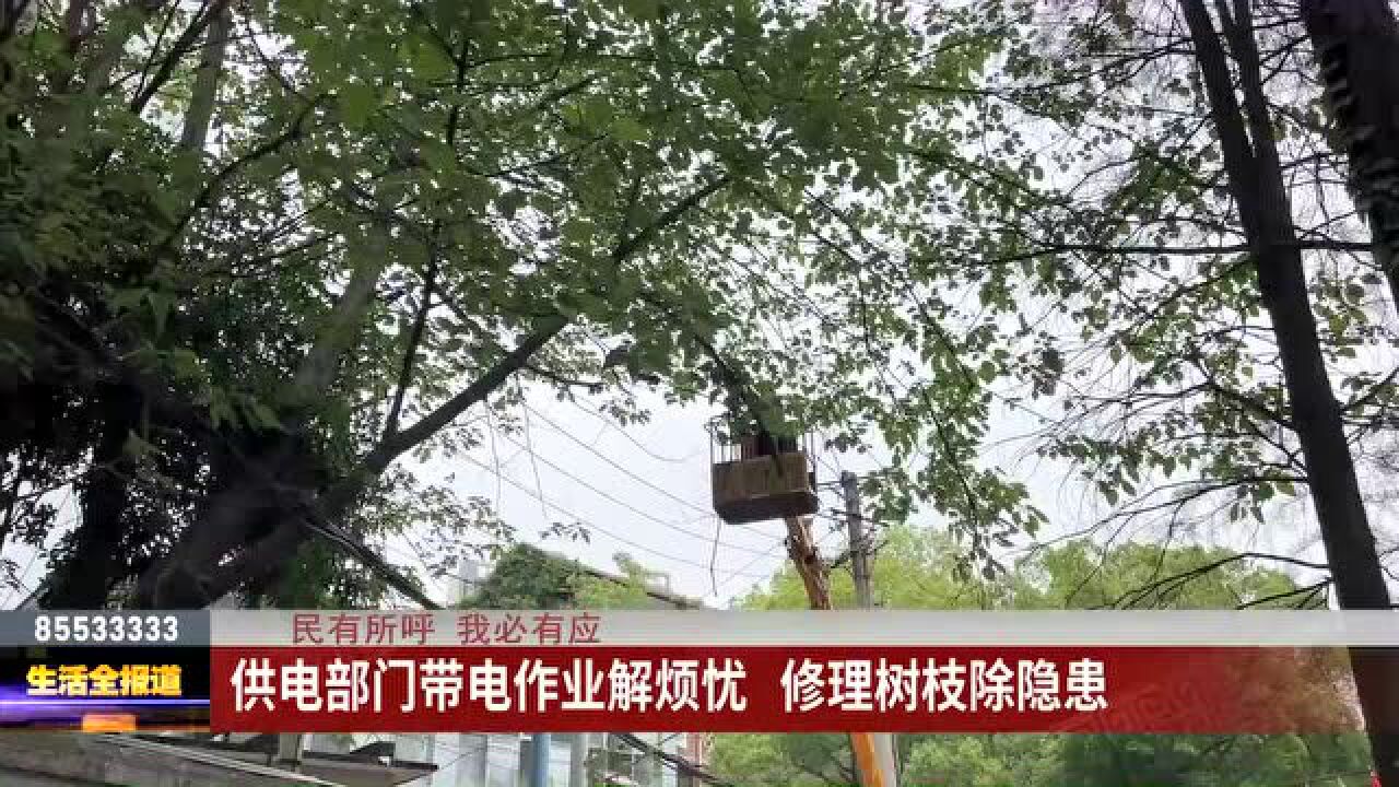 树枝“搭上”高压线供电部门带电作业解隐患_高清1080P在线观看平台_腾讯视频