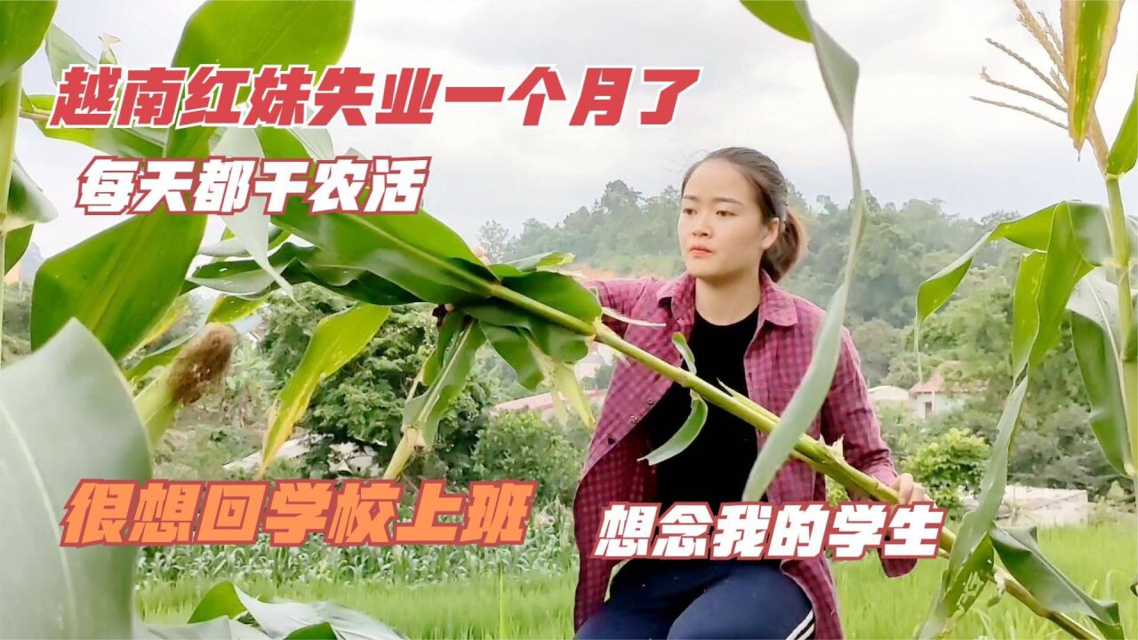 越南红妹失业一个月了,每天都帮爸妈干农活,很想回学校上班