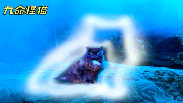 宠物猫目睹主人遇害,一怒之下化身九命怪猫,开启疯狂复仇模式