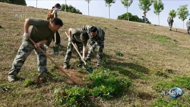 【基层动态】博爱河务局:义务劳动助力工程面貌提升