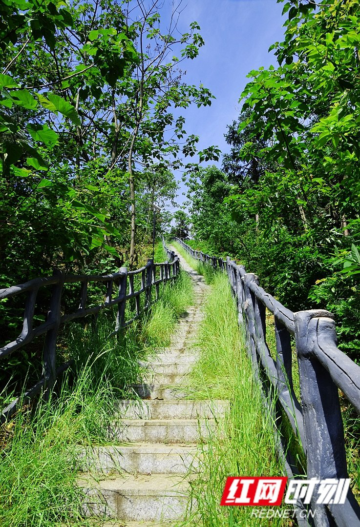 法华山森林步道图片