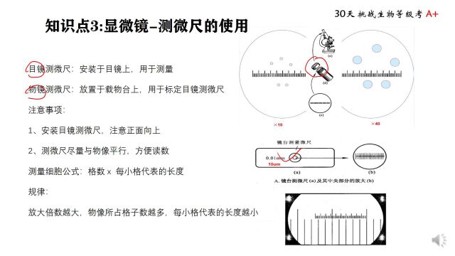 知识点3 你听说过物镜测微尺嘛