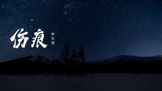 林忆莲一曲《伤痕》,动情感人,让人回味无穷!