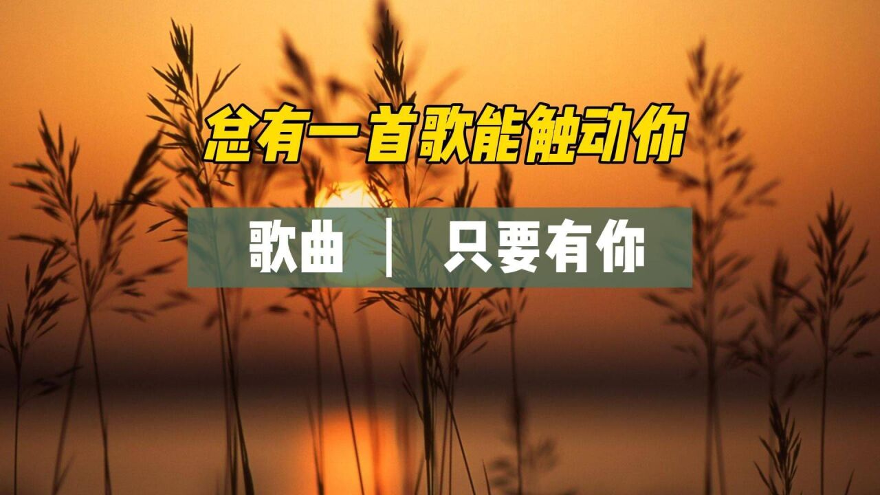 总有一首歌触动你《只要有你》这世界偷偷爱着你,只是你不知道