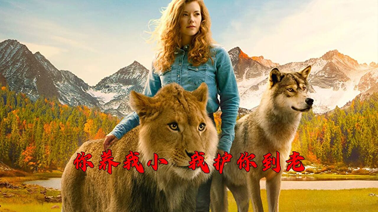 狼与狮子(2022) 4K HDR 外挂简中字幕