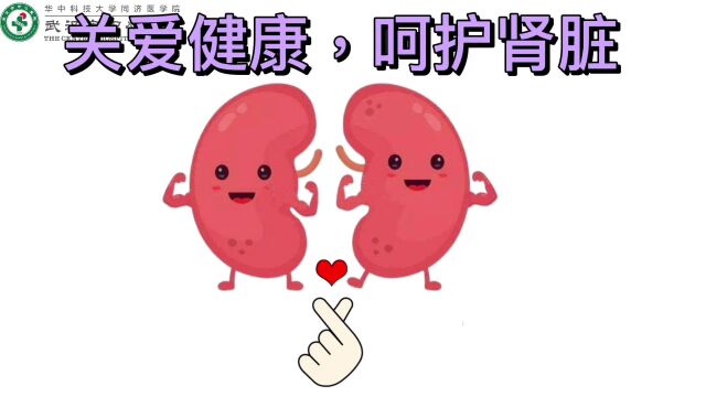 关爱健康 呵护肾脏