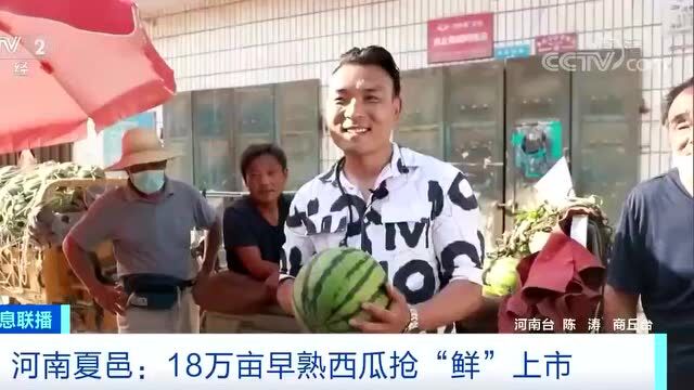 央视关注夏邑:18万亩早熟西瓜抢“鲜”上市