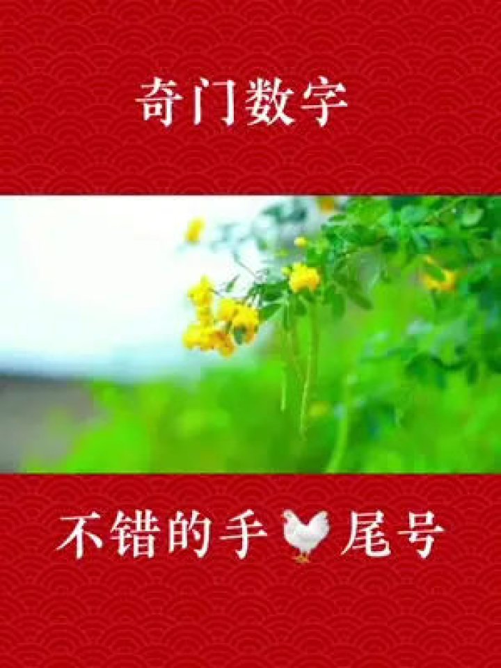 不错的手尾号推荐#手机号预测#手机号码预测#奇门数字腾讯视频}