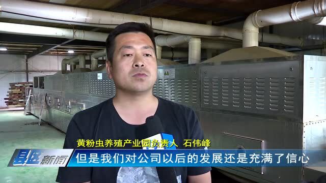 国网宜阳县供电公司:电力赋能 让乡村振兴步伐走得更快、更稳、更好