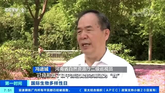 【央媒看濮阳】中央电视台《第一时间》报道我市金堤河优良生态环境