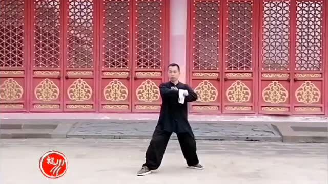 [辰武讲堂]传统杨氏85式太极拳(11)进步搬拦捶