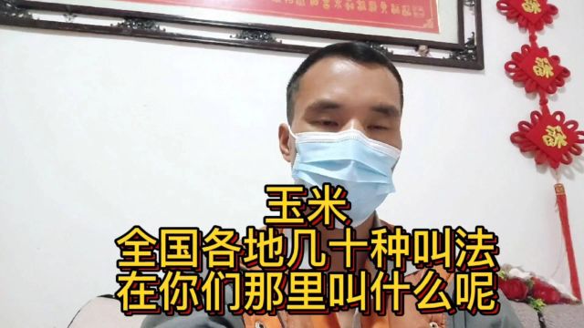 玉米,全国各地几十种叫法!在你们那里叫什么呢?