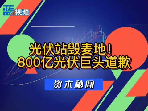 建光伏站毁麦地?800亿光伏巨头道歉