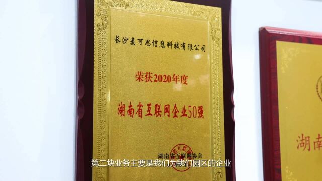 闯在麓山南 | 许容良:边读博边创业,4年公司营收超80亿