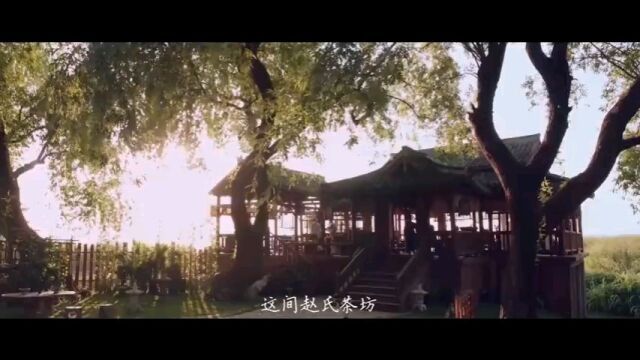 点茶罢,清水缀乳花, 各色风景呈现,茶韵君子风,豁达存雅.