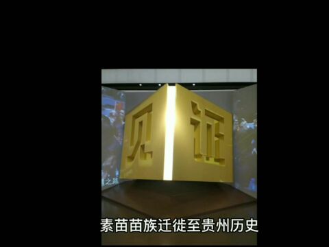 贵州和广西壮族自治区隆林各族自治县素苗苗族迁徙历史