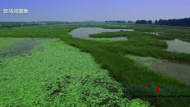 吉地花开 轻奢出游——吉林市“周边一日游”引燃端午假期文旅市场