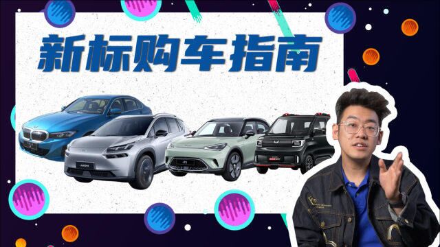 新标到手你别慌,1030万纯电动车任你挑