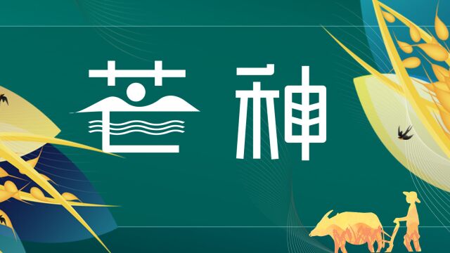 节气里的小秘密 | 芒种在“忙”啥