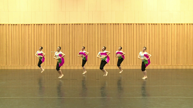 舞蹈家协会少儿中国舞考级第七级:俏兰花