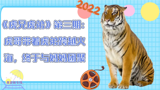 弟中之弟虎哥,虎哥_大山谷图库