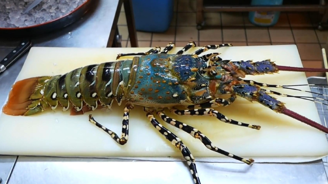 花了一个月工资,吃这个中华锦绣龙虾值得吗?