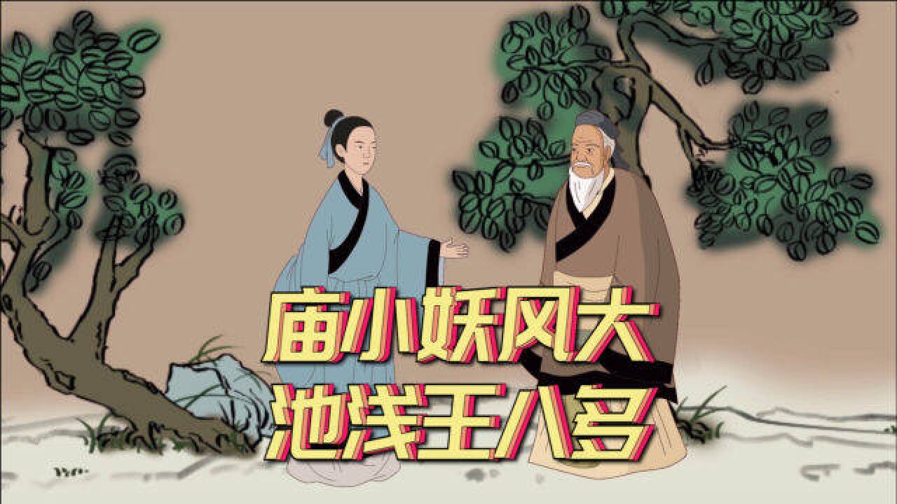 庙小妖风大池浅王八多老祖宗的处世智慧看看没坏处