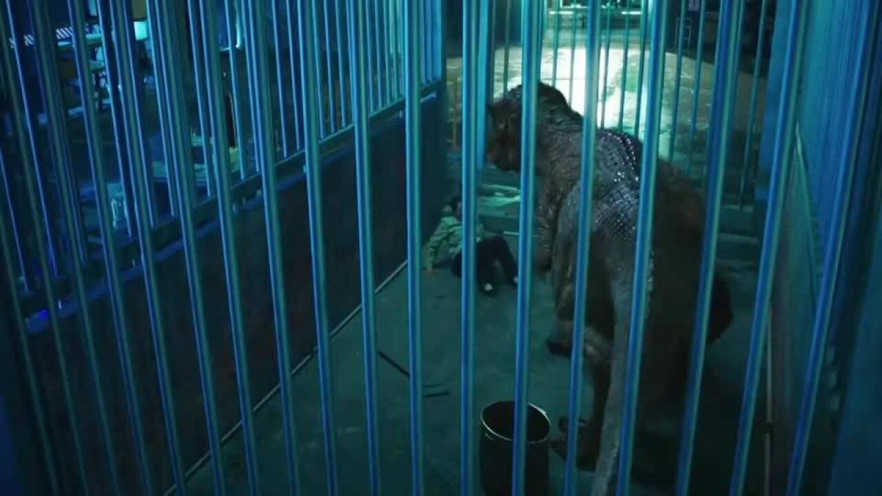 逃出牢笼 腾讯网