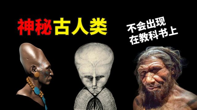 3种最神秘的古人类,智商碾压爱因斯坦,他们为什么灭绝?