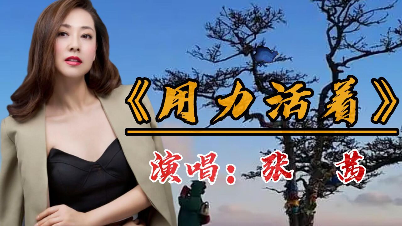 一首感人肺腑的用力活着张茜唱出了现实生活的辛酸故事我们都在用力