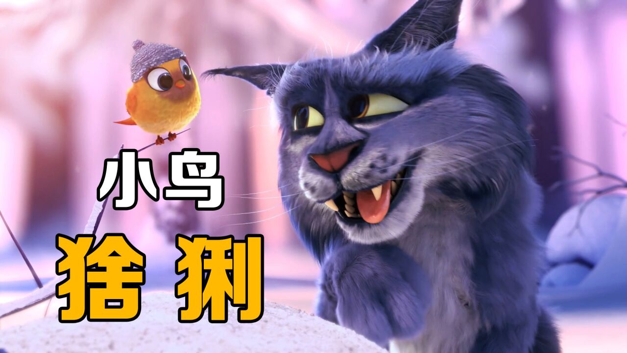 高分短片_猞猁为帮小鸟取暖,竟然学会了织毛衣,反转动画_高清1080P在线观看平台_腾讯视频