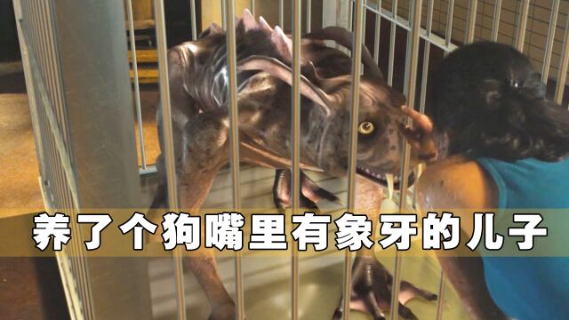 女猎人本想偷狗牙,却没想到当上了狗妈妈